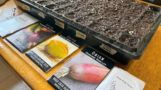 Start These SEEDS In JANUARY | Frost Date May 15-June 1 and Beyond.