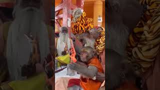 Hanuman chalisa 🙏               #trending #shorts