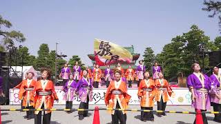 [4K] 岐阜大学 騒屋　京都さくらよさこい 2023 さくよさ 1日目 神宮道スペシャルステージ