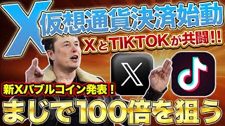 【X決済通貨】イーロンマスクが仮想通貨バブルの狼煙を上げました！TikTokトークンをお伝えします