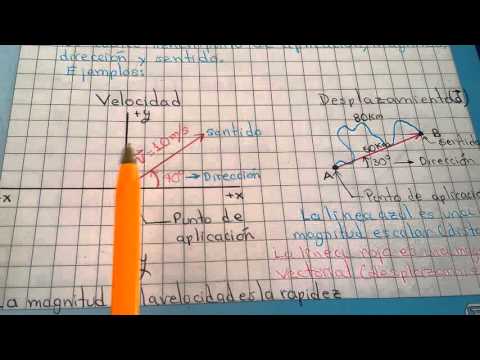 FÍSICA 001 Magnitudes Escalares Y Vectoriales - YouTube