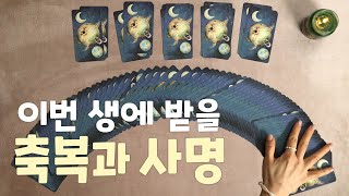 [타로카드] 이번 생에 받을 축복과 사명, 전생 타로