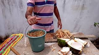 como fazer substrato da casca de coco verde FÁCIL. 😄😄