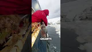 Pesca extrema en el hielo ¡Increíble! 😱 #shorts