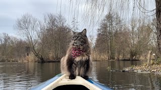 Captain Louis: Spreading Christmas Cheer One Paddle at a Time 🛶💚