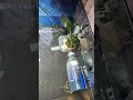 aquarium water polisher