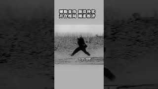 傳統武術：八極行劈拳，真正的八極拳，大師郭瑞才，感覺只有這樣才打出了八極拳的特點，剛猛爆裂，最具實戰性的近身博擊術八極拳。 #kungfu #武術 #八極拳