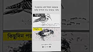 কিছুদিন আগে এবং কিছুদিন পরে 🙂😅🥺