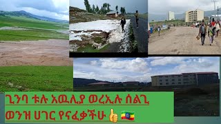 ቱሉ አዉሊያ #ዩኒቨርስቲ ጊንባ ከተማ #ወረኢሉ ሰልጊ ወዝ# በዝረምት ይኸን ይመስላል#ሀገሬ ተጋበዙ