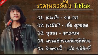 รวมเพลงดังในTikTok(เงาะป่า+เขามัทรี+บุษบา)#รวมเพลงฮิตtiktokล่าสุด