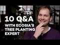 10 Q&A with Ecosia's Tree Planting Expert