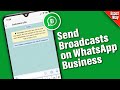 How to Send Broadcasts on WhatsApp Business (2025)
