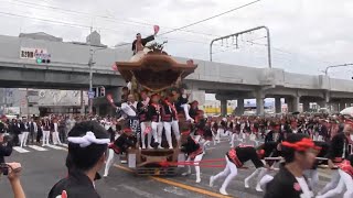 平成三十年　岸和田市土生町試験曳き