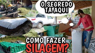 como fazer silagem de milho ensacada?  todas as dicas que não te contaram, passo a passo