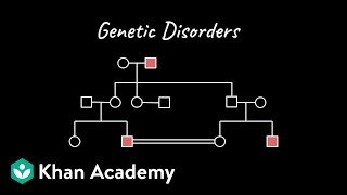 Genetic Disorders | Principles of Inheritance and Variation | Class 12 | Biology | Khan Academy