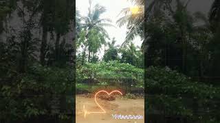 Naveena Saraswathi Sabatham: Saturday Fever Song Video in tamil 🤠🤠🤠