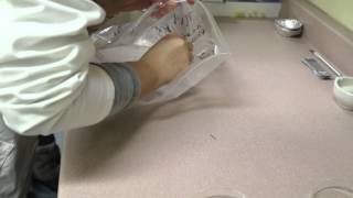 GMRC Eel Research