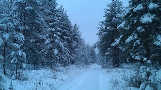 Снежные красоты природы 1080 HD