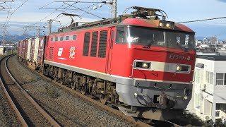 【4K】EF510-8  3099レ    2024/11/15　　#EF510 　#レッドサンダー