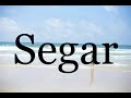 How To Pronounce Segar🌈🌈🌈🌈🌈🌈Pronunciation Of Segar