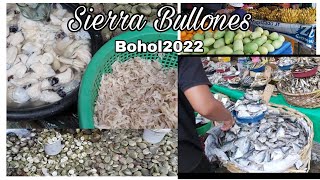 SIERRA BULLONES PUBLIC MARKET// MANABO TA//SEASHELL BARATO RA//BOHOL VLOG/MYVTRAVEL VLOG//Honey jen