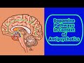 Dopamine Pathways In Context Of Antipsychotics