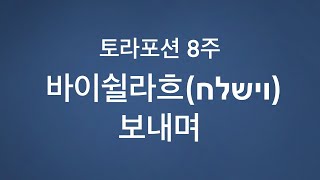 [토라포션 성경읽기] 8주 바이쉴라흐(וישלח)