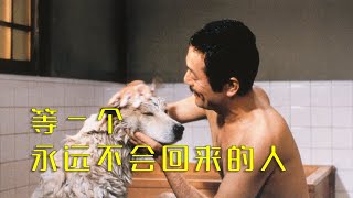 忠犬八公物：曾感动数亿的人，看一次哭一次，等一个永远不会回来的人