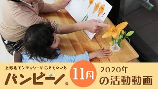 2020年11月の活動ダイジェスト（上野毛モンテッソーリこどものいえ「バンビーノ」）