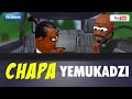 Chapa Yemukadzi (Zviri Mudzimba) - Zimbabwe Comedy Cartoon