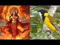 அடுத்தவர் குடும்பத்தை அழிக்க நினைத்தால்..சாபம் mythological story mahabharata