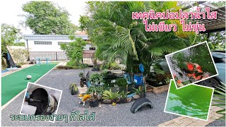 เทคนิคการแก้ปัญหาบ่อปลาน้ำเขียว (how to remove green water in pond)