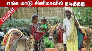 மாட்டுக்கு கிடைக்கும் ஐந்து ரூபாய்கூட மனிதனுக்கு கிடைப்பதில்லை | பூம்பூம் மாடு | Boom Boom Maadu