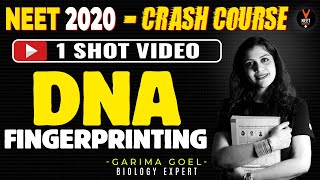 DNA fingerprinting Class 12 | Crash Course NEET 2020 Preparation | NEET Physics | Garima Goel