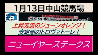 【競馬予想】ニューイヤーステークス！～２０２５年１月１３日 中山競馬場 ：１－２４