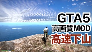 高画質MODで絶景を眺めながら高速下山したら車がありえんほどボコボコになった【GTA5】