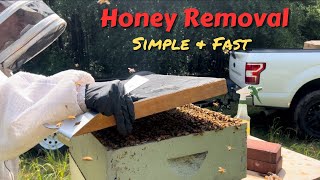 Taking Spring Honey from the Hives - Fast and Easy
