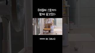 우리집에 스토커가 살고있다 👻 #shorts