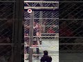 cm punk enters the cage in a towel to save damian priest 🤣💥 wwe cmpunk wrestling damianpriest