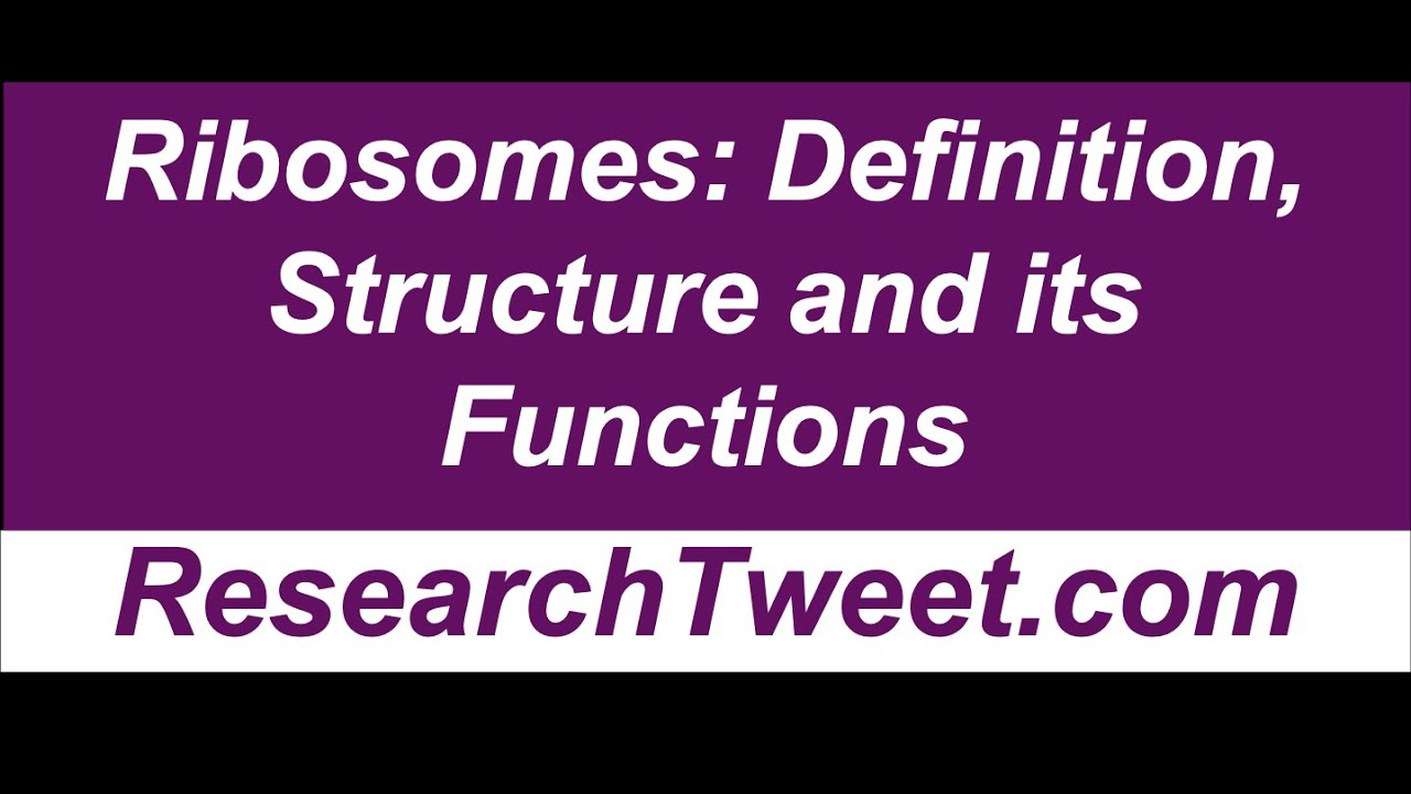 Ribosomes: Definition, Structure And Its Functions - YouTube