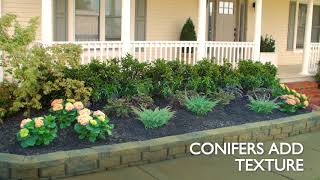 How to Plant a Garden Bed for Curb Appeal