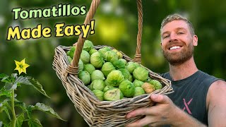 Growing Tomatillos from SEED to HARVEST and How To Use Them! 🤤