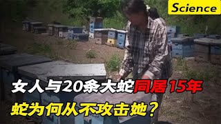 东北女人与20条大蛇同居15年，却从未被咬伤，难道蛇也通人性？