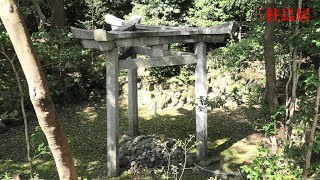 世にも珍しい木嶋神社の「三柱鳥居」に行ってみた！