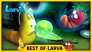 LARVA | BEST OF LARVA | Cartoons | Comics | LARVA 2017 WEEK 18