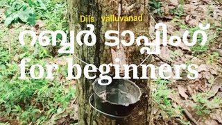 Rubber tapping /റബ്ബർ ടാപ്പിംഗ് for beginners