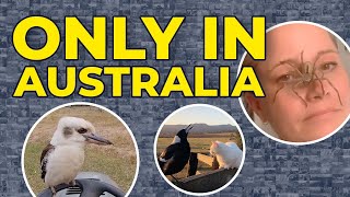 Only In Australia: 2021 Edition