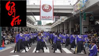 【公式】踊り侍 23 仁 にいがた総おどり　万代十字路会場