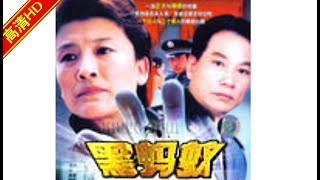 黑蚂蚁01（主演：潘粤明，丁梦雨，宋春丽，金鑫，吴刚）