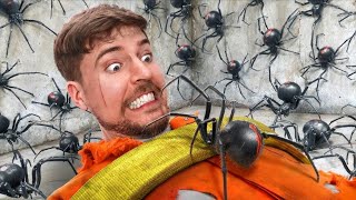 Face Your Biggest Fears And Win $800,000